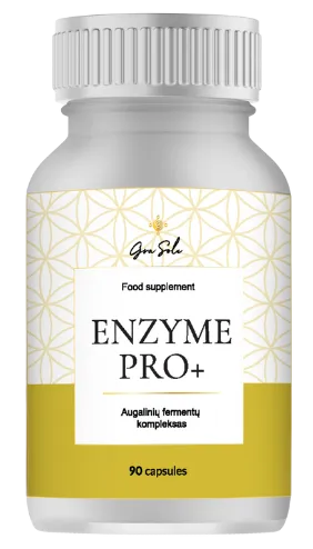 Toidulisand ENZYME PRO+