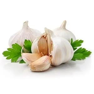 Küüslauk kg Egiptus