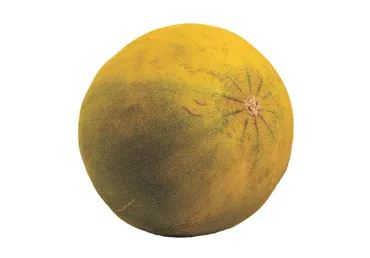 Melon LIMELON, kg