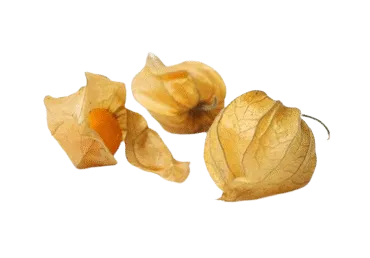 Füüsal 100g