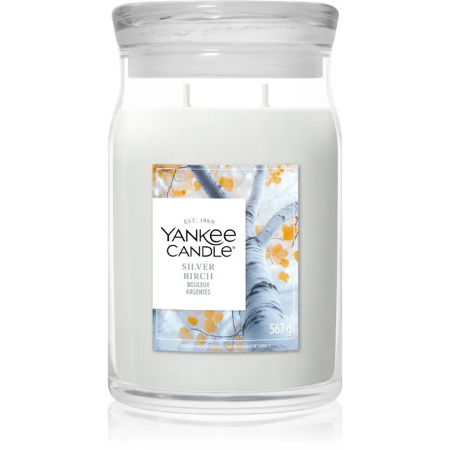 Yankee Candle Silver Birch lõhnaküünal 567 g