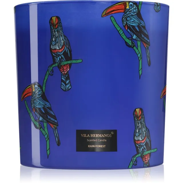 Vila Hermanos Jungletopia Rain Forest lõhnaküünal 1450 g