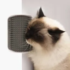 Catit Senses 2.0 Self Groomer masseerimiseks kassile