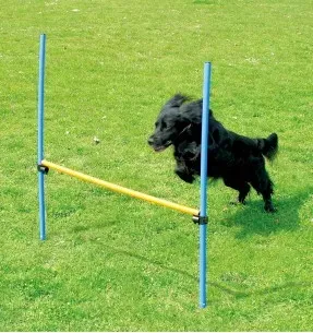 Agility tõke (Pawise)