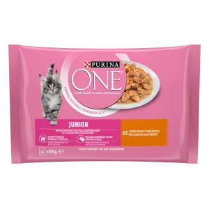 ONE Junior Kiisueine 4*85g kana-porgandi