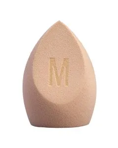 Meigisvamm