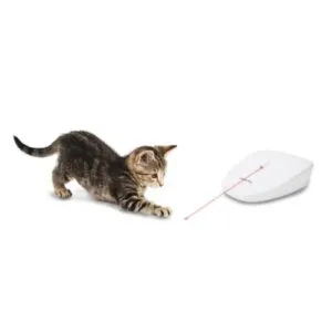 PetSafe Laser Tail Laser automaatne mänguasi kassile