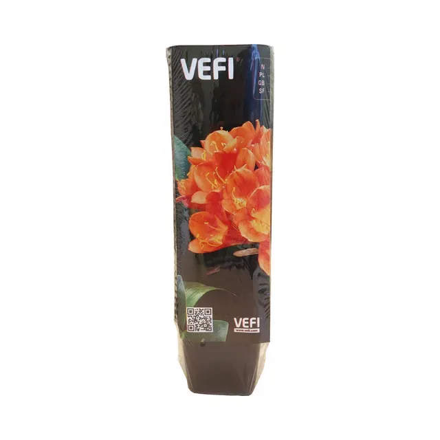Nelikantpotid Vefi 6cm must, VEFI, 40 tk