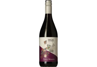 KGTvein VILLA MOLINO Pin.Noir Trev.750ml
