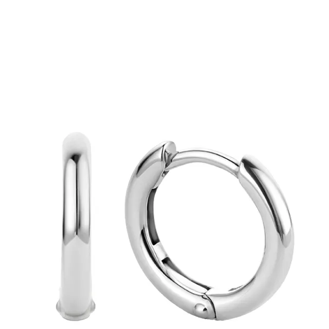TI SENTO 7812SI Earrings