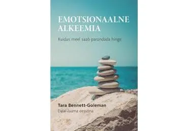 Raamat Emotsionaalne alkeemia