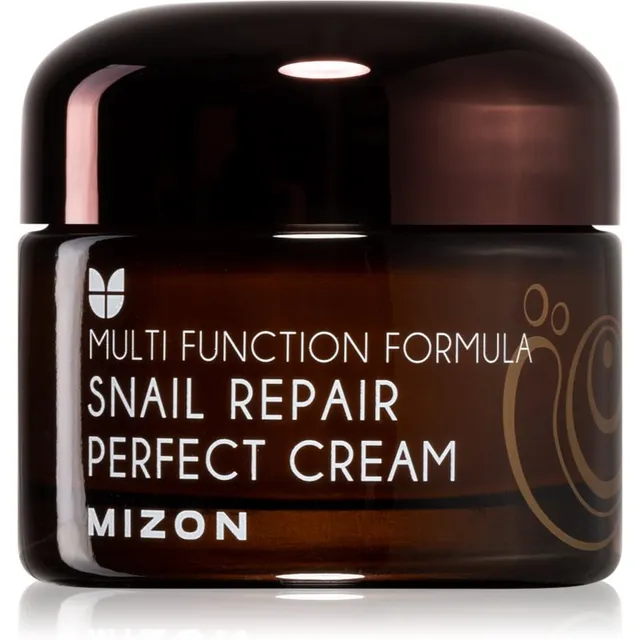 Mizon Multi Function Formula Snail Näokreem 60% filtreeritud teolimaga 50 ml