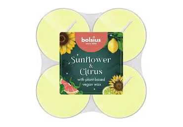 Teeküünlad BOLSIUS Sunflower&Citrus 8tk