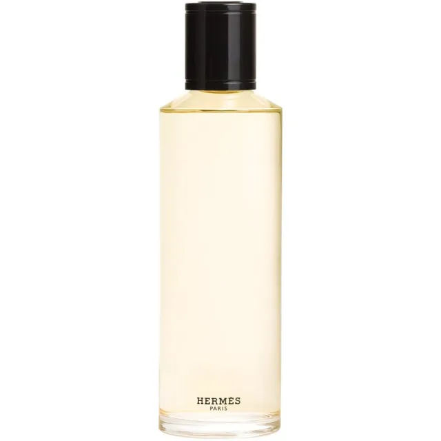 HERMÈS Terre d’Hermès Eau de Parfum Intense parfüümvesi Intense täitepakend meestele 200 ml
