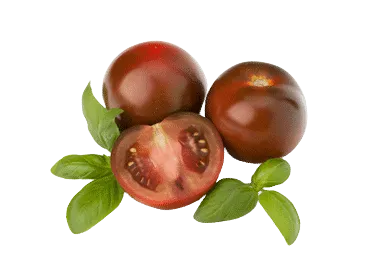 Tomat tume 1kl., kg