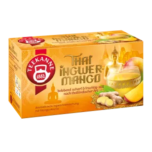 Tai ingveri tee niidiga kotis 20pk, TEEKANNE, 45 g