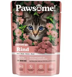 Pawsome! einekotike kassipojale, veiseliha tükid kastmes, teraviljavaba
