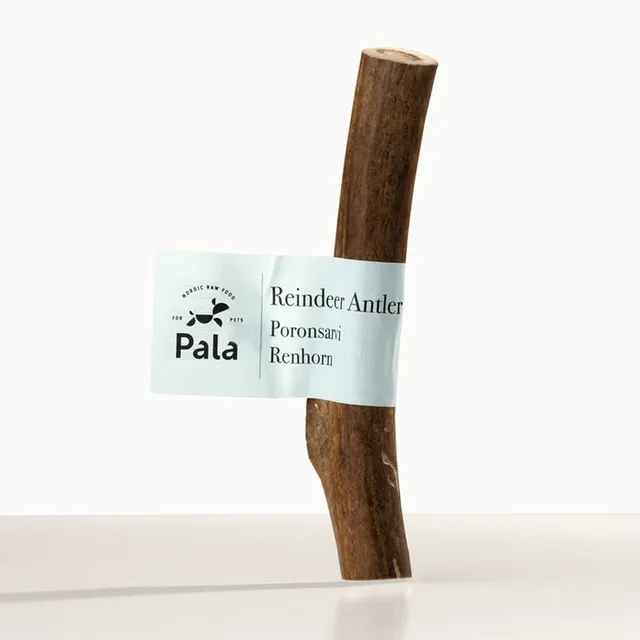 Pala koera maius, põhjapõdrasarv, M