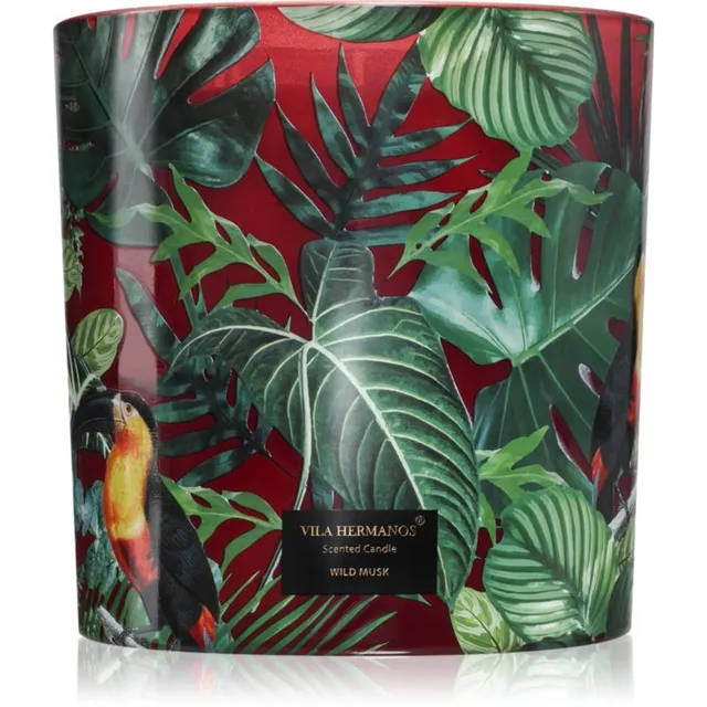 Vila Hermanos Jungletopia Wild Musk lõhnaküünal 1450 g