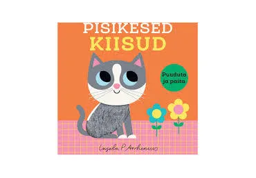 Raamat Pisikesed kiisud