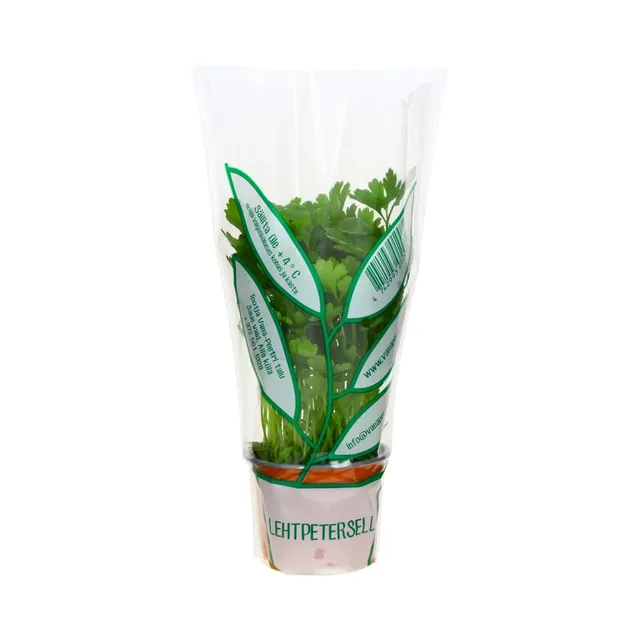 Lehtpetersell potis, VANA PEETRI, 1 tk