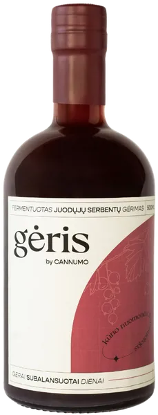 Gėris - fermenteeritud mustsõstrajook