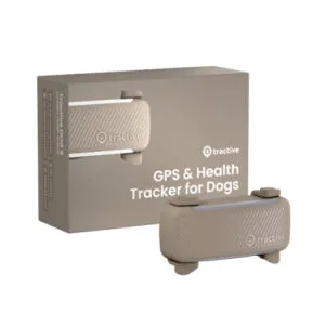 Tractive GPS Pruun koertele