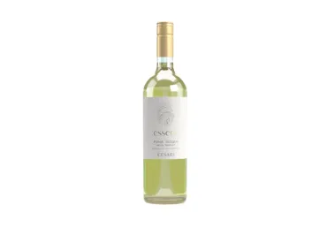 KPN vein CESARI Es.Pinot Grigio 750ml