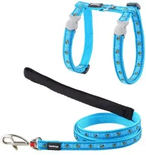 Traksid ja jalutusrihm kassile, disainmustriga Bumble Bee Turquoise (Red Dingo)