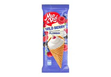 Jäätis metsamarjadega MIO&RIO, 120g