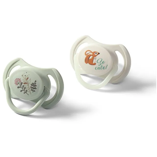 BabyOno Take Care Symmetrical Silicone Soothers lutt Day & Night 6-18m+ 2 tk