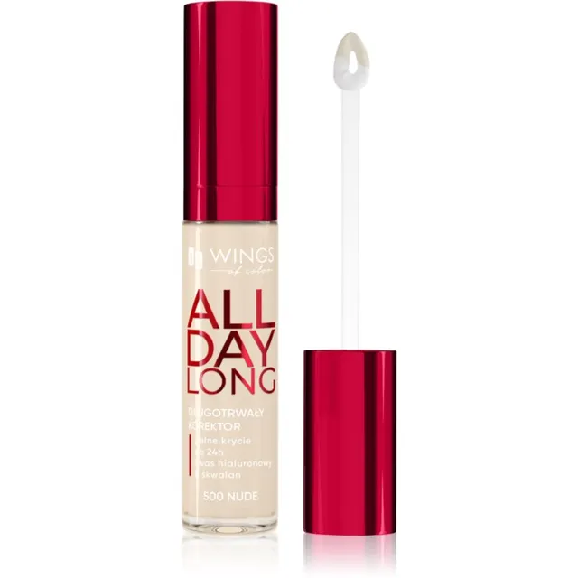 AA Wings of Color All Day Long Long Lasting Concealer Vedel peitekreem varjund 500 Ivory 6.2 g