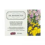 Dr. Benedictus kurgupastillid N12