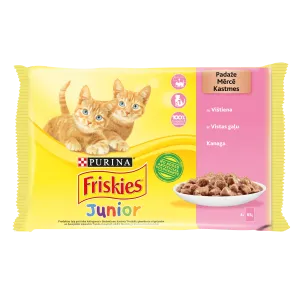 Friskies kiisueine 4*85g kanaga kastmes