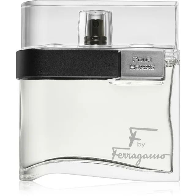 Ferragamo F by Ferragamo tualettvesi meestele 100 ml