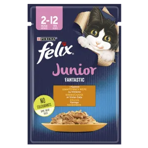 Felix Fantas.kassip.kiisueine 85g kana