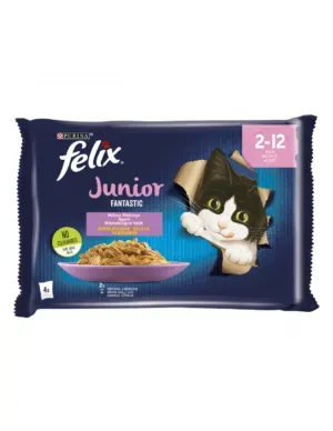 Felix Fantastic Kiisueine Kassipoegadele Kana 4x85g