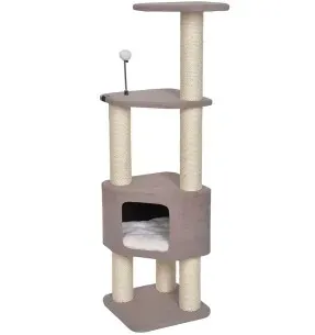 Kasside ronimispuu, h 128 cm, Kobe (EBI)
