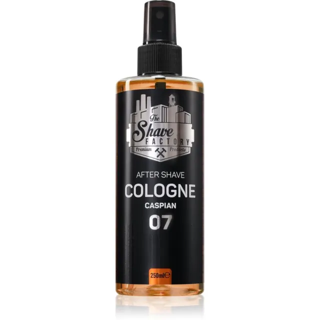 The Shave Factory 07 Caspian Raseerimisjärgne vesi 250 ml