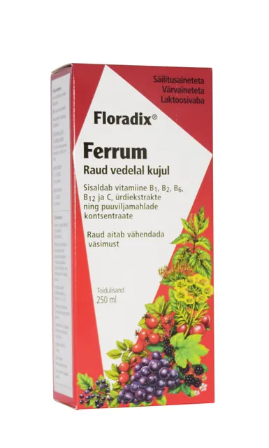 SALUS FLORADIX RAUD ÜRDI-MAHLAKONTSENTRAAT 250ML