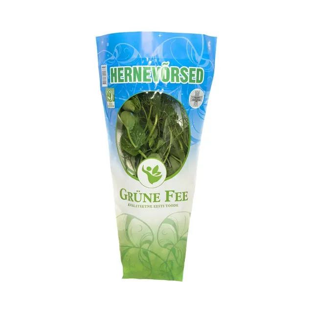 Hernevõrsed potis, GRÜNEFEE, 1 tk