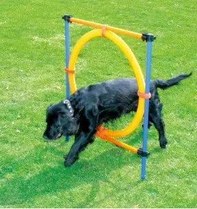 Agility rõngas (Pawise)