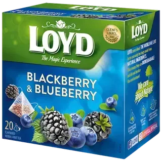 Loyd puuviljatee Pyramids põldmari ja mustikas 40g