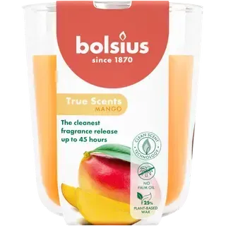 Bolsius lõhnaküünal mango 97/85