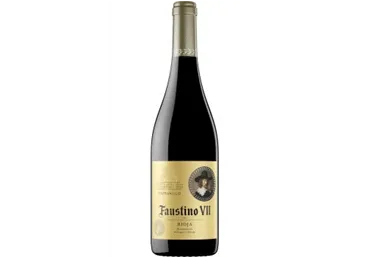 KPN vein FAUSTINO VII Tinto 750ml